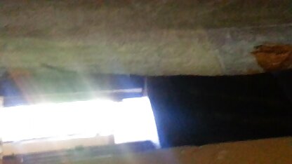 Cáo sec vanganh Chrissy